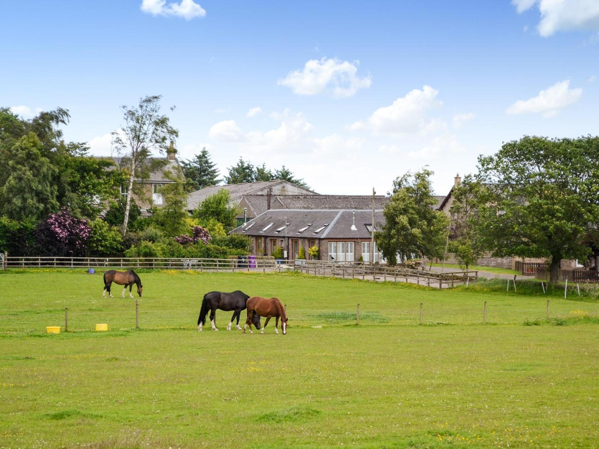 Appletree Cottage Kirkton of Tealing Bagian luar foto