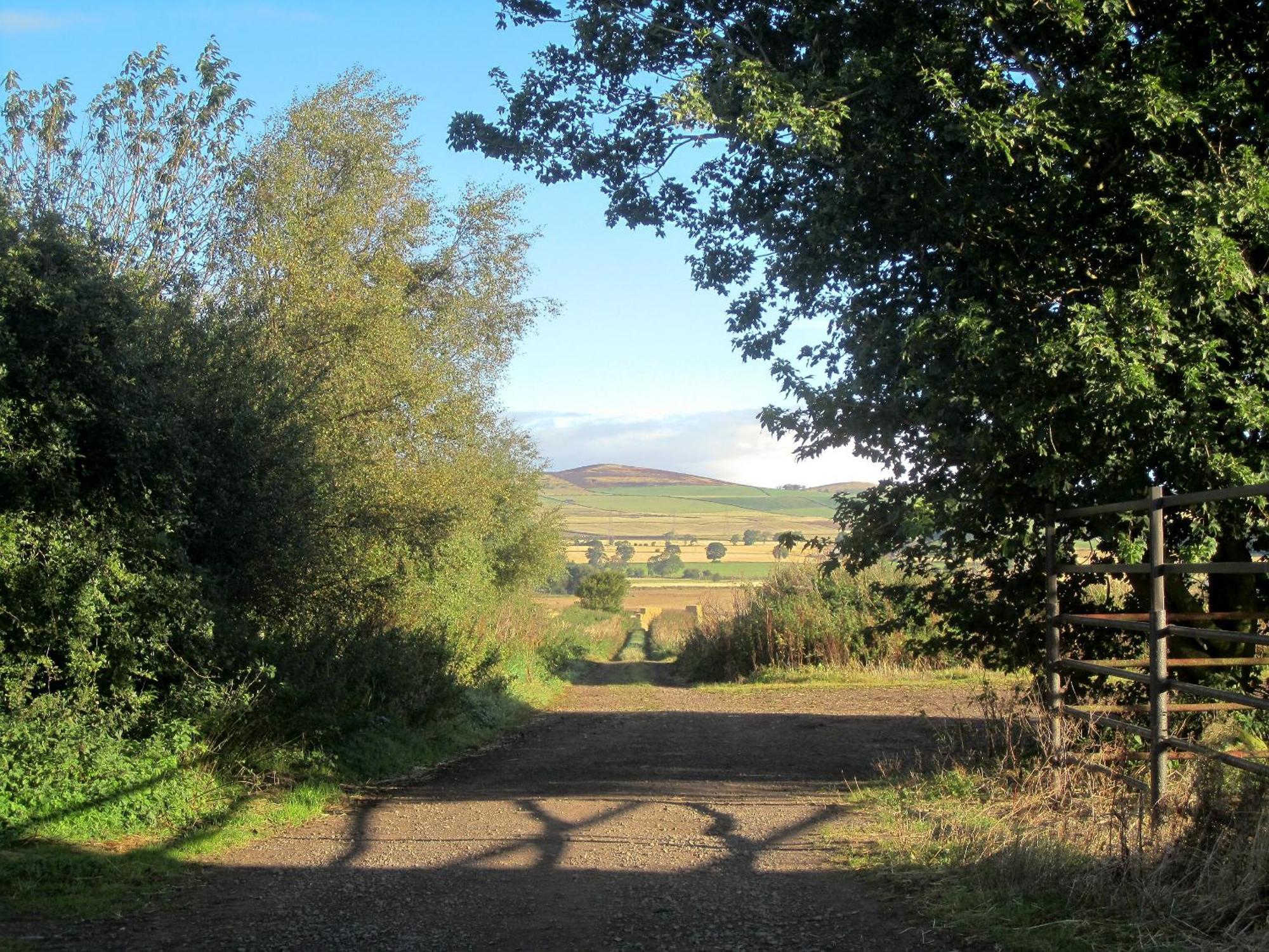 Appletree Cottage Kirkton of Tealing Bagian luar foto